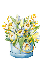 Bouquet of tulips and mimosa, spring flowers in a packing box. Hand drawn watercolor illustration close up isolated on white background. Design for cards, covers, invitations, Mother's Day
