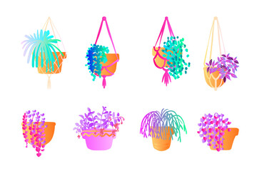 Neon tropical plants and flowers in pots. Vector color sketch on a white background. Ultraviolet pink, blue, turquoise.