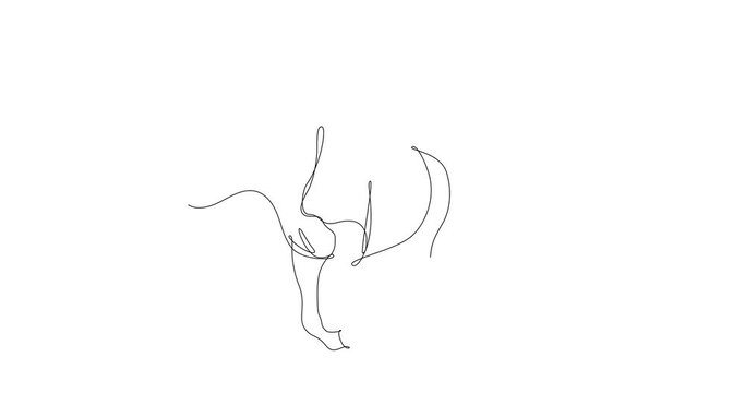 Self drawing animation of continuous line drawing of a horse, full length.Black line on white background, isolated drawing	