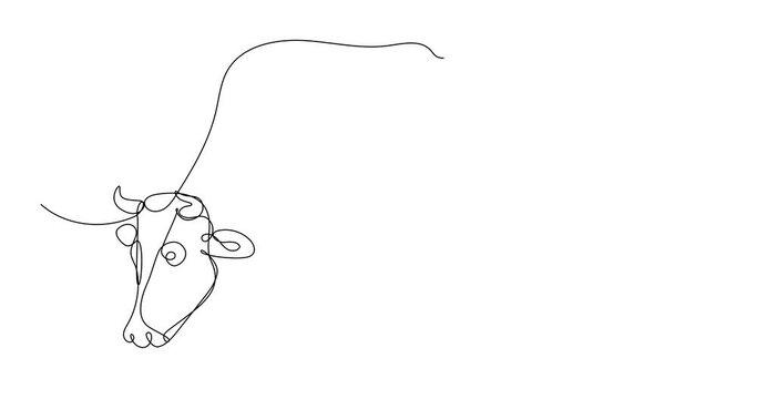 Self drawing animation of continuous line drawing of a cow. Farm animals series. Black line on white background, isolated drawing.