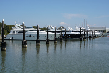 Marina with boats and pier