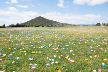 Easter eggs in field for egg hunt.