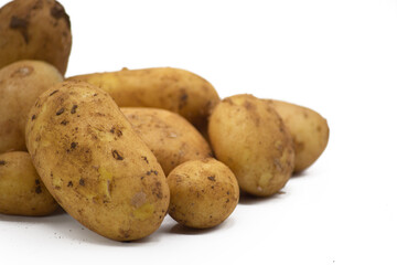 Close up dirty potatoes isolated on white background. Pre-cut image for projects, flyer etc. Fresh unwashed potatoes with soft shadows. Horizontal shot