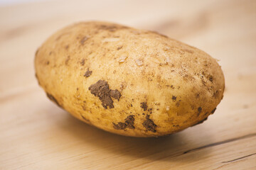 Fresh organic potato on a wooden chopping board. Fresh unwashed potato. Soft shadows. Closeup view,...