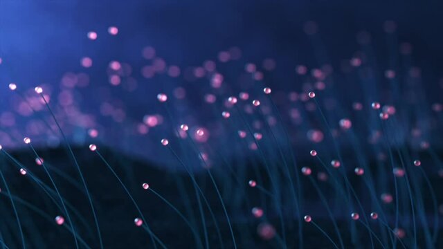 3D rendering colorful particle line like a flower grow. Glowing lines and light particles on dark blue background.
