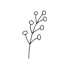 Sprig with berries in doodle style. Black and white vector isolated illustration spring and summer season. Hand drawn branch