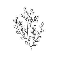 Sprig with leaves in doodle style. Black and white vector isolated illustration spring and summer season
