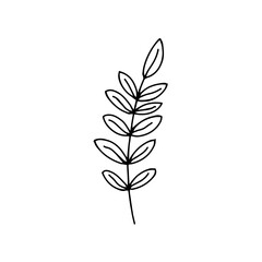 Sprig with leaves in doodle style. Black and white vector isolated illustration spring and summer season hand drawn branch