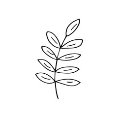 Sprig with leaves in doodle style. Black and white vector isolated illustration spring and summer season hand drawn branch