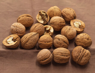 A small amount of whole walnuts is placed on a brown dish towel in the center