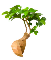 Bonsai natural Ficus with leaves. Poly Low geometric.