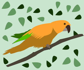 yellow parrot on a branch