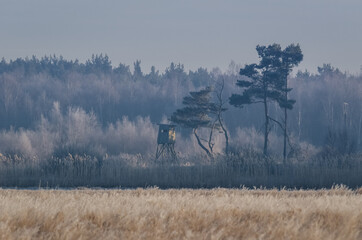 Obraz premium HUNTING PULPIT - Position at the edge of the forest and peat bogs 