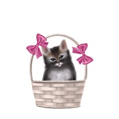 Fototapeta na wymiar cute kitten in the basket hand drawn illustration, clipart
