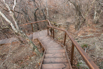 wooden stairs in the park in autumn