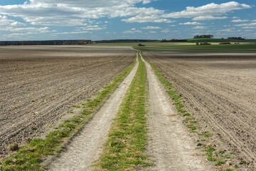 Fototapeta na wymiar A long country road between plowed fields, a spring rural landscape