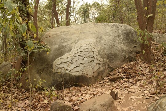designed rock on the scattered boulders at pakhi pahar, purulia, west bengal, india