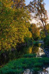 630-50 Prairie Creek Morning Light