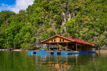 Fototapeta na wymiar A floating fish farm on the island of Langkawi in Malaysia