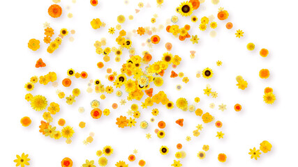 Colorful Sparkling Yellow Flowers 3D illustration.