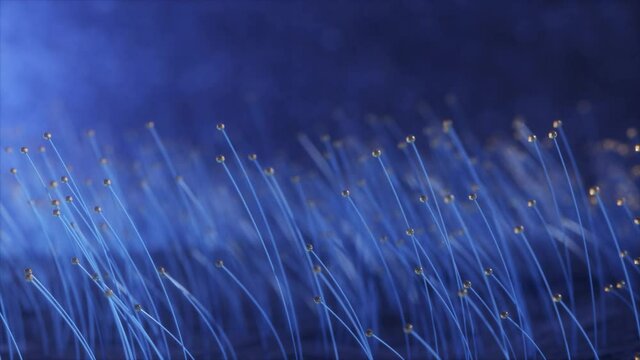 3D rendering colorful particle line like a flower grow. Glowing lines and light particles on dark blue background.
