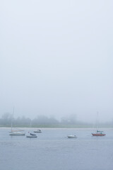 USA, Massachusetts, Cape Ann, Gloucester. Annisquam Harbor, boats in fog