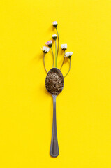 Spoon filled with dry tea leaves and camomille growing upwards