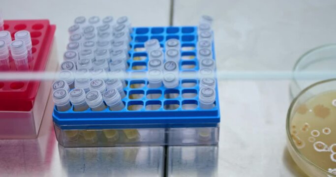 A petri dish with colonies of bacteria that produce an antibiotic lies open next to small test tubes in racks. The camera moves on a slider to show the tube racks and a petri dish at the end.
