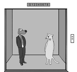 Cat and dog on elevator