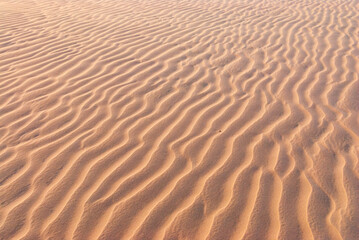 Lencois Maranhenses National Park, Maranhao, Brazil on October 19, 2007. Dunes illuminated by the late afternoon sun, highlighting the texture of the sand.
