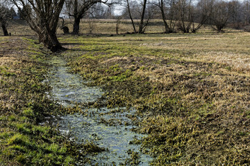 Meadows area with little water canal. Early spring in Poland, Europe. Water landscape.