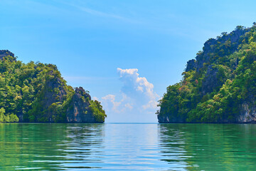 Pure nature landscape river among mangrove forests