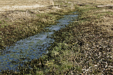 Meadows area with little water canal. Early spring in Poland, Europe. Water landscape.