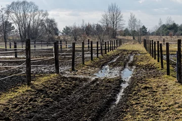 Foto op Plexiglas Muddy empty animal pasture paddock areas with paddles. Early spring in Poland, Europe. Countryside. © Fotema