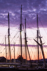 USA, Massachusetts, Cape Ann, Gloucester. Gloucester Schooner Festival, schooner masts at dawn.