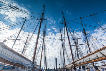 USA, Massachusetts, Cape Ann, Gloucester. Gloucester Schooner Festival, schooner masts at dawn.