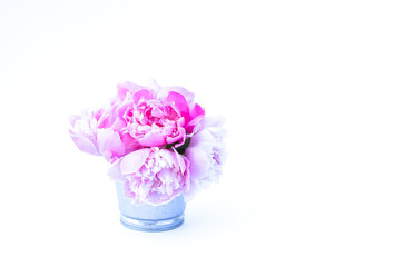 Beautiful bouquet of the fresh pink peony flowers on white background.