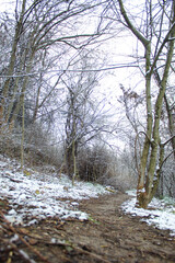 snow-covered park path in spring.