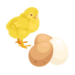 Small yellow chicken on a white background with chicken eggs: vector image. Easter. farm animals concept. healthy diet . healthy food