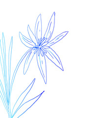 Abstract one line art flower.  Elegant continuous line drawing. Minimalist contour drawing.