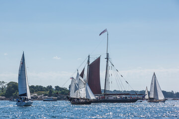 USA, Massachusetts, Cape Ann, Gloucester. Gloucester Schooner Festival, schooner parade of sail.
