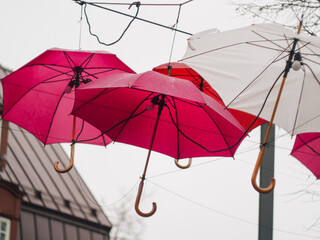 umbrella in the rain