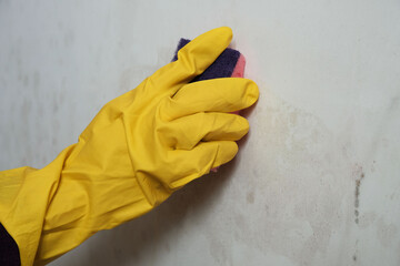 Treatment of walls from mold