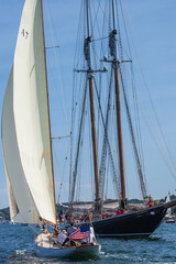 USA, Massachusetts, Cape Ann, Gloucester. Gloucester Schooner Festival, schooner parade of sail.