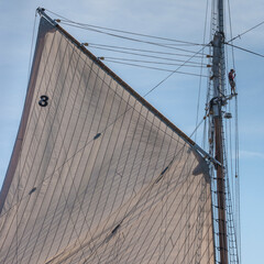 USA, Massachusetts, Cape Ann, Gloucester. Gloucester Schooner Festival, schooner sails.