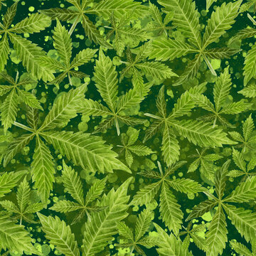 Watercolor seamless pattern cannabis leaves on a color background.