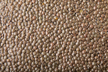 Fresh lentils in vacuum sealed plastic bag on black slate board