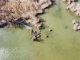 Drone flying over shallow fishing ponds near Sava river, Zagreb, surrounding heating plant with top down view of vegetation growing in the water