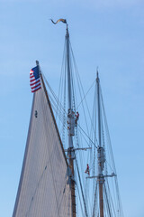 USA, Massachusetts, Cape Ann, Gloucester. Gloucester Schooner Festival, schooner sails.