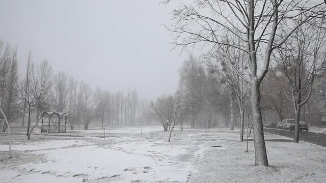A heavy snowstorm in winter in the city will make snow among the trees. The wind whirls large snowflakes.